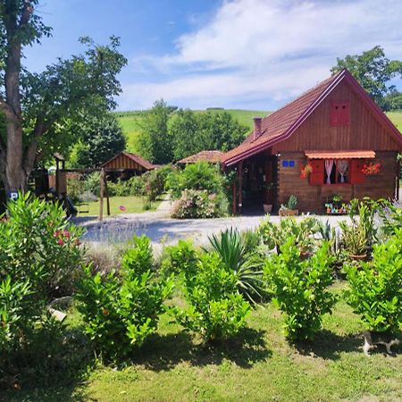 Pod Orehom Drvena Kuca I Sauna Krapina Buitenkant foto