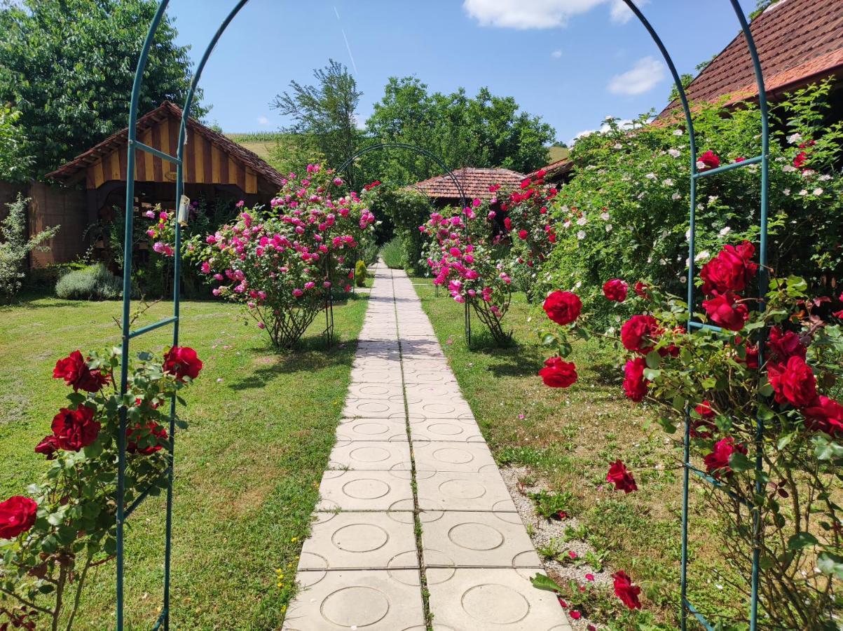 Pod Orehom Drvena Kuca I Sauna Krapina Buitenkant foto